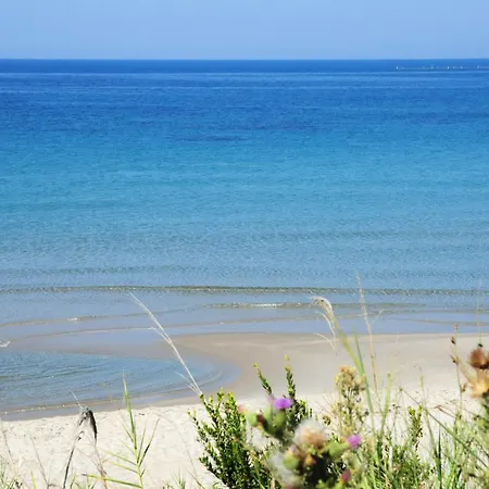 Duplex Seaview Apartament *