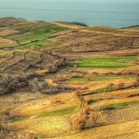 Duplex Seaview Apartment *