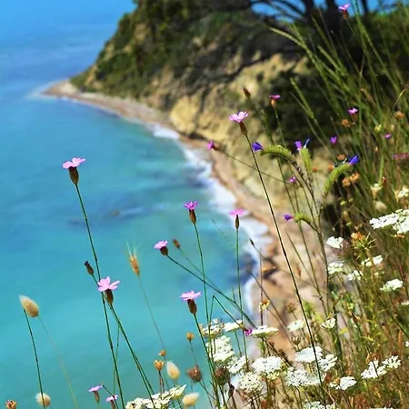 Duplex Seaview Apartment *